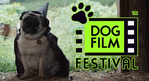 dog film festival dog film festival