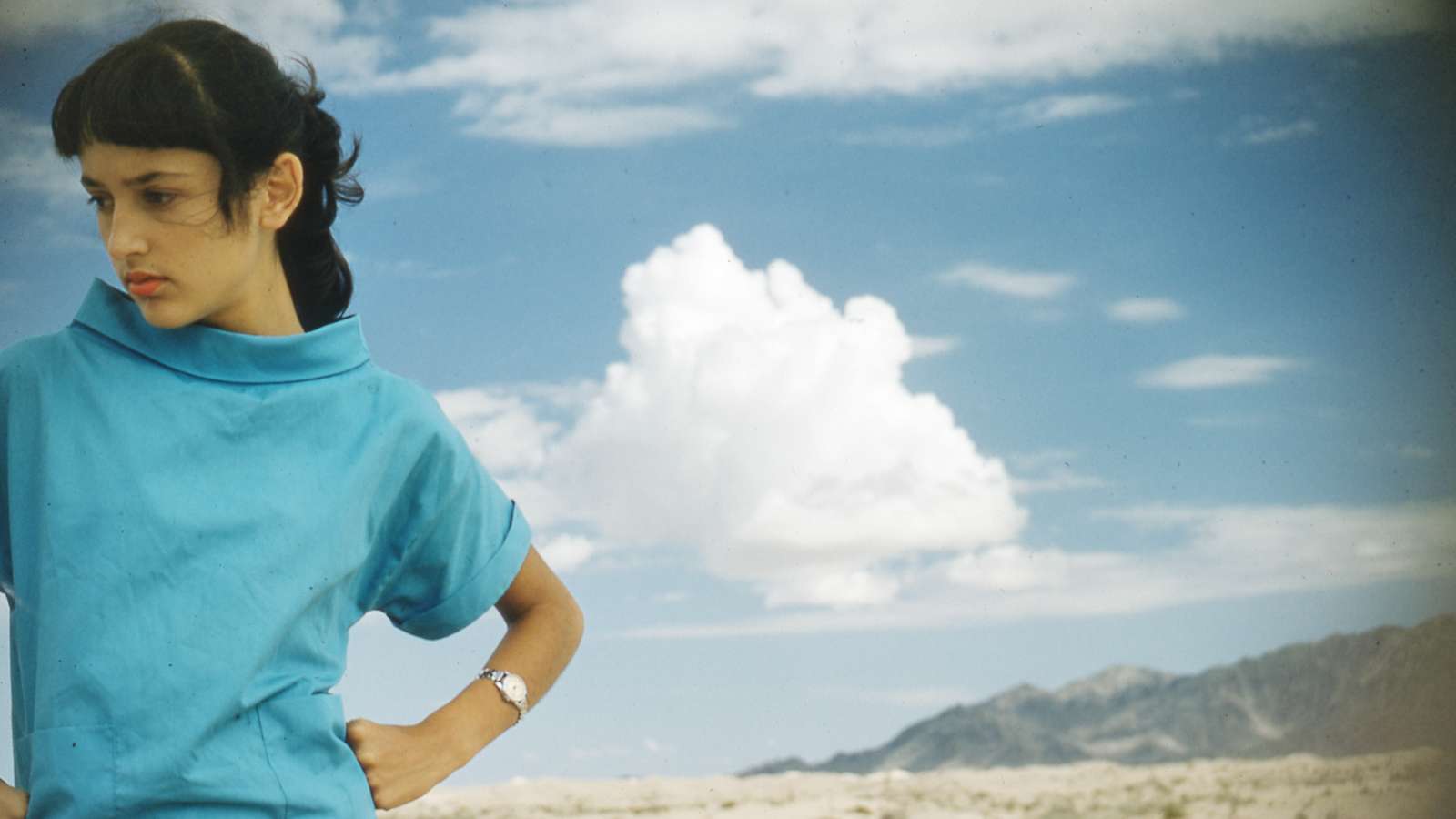Joan Baez: I Am A Noise