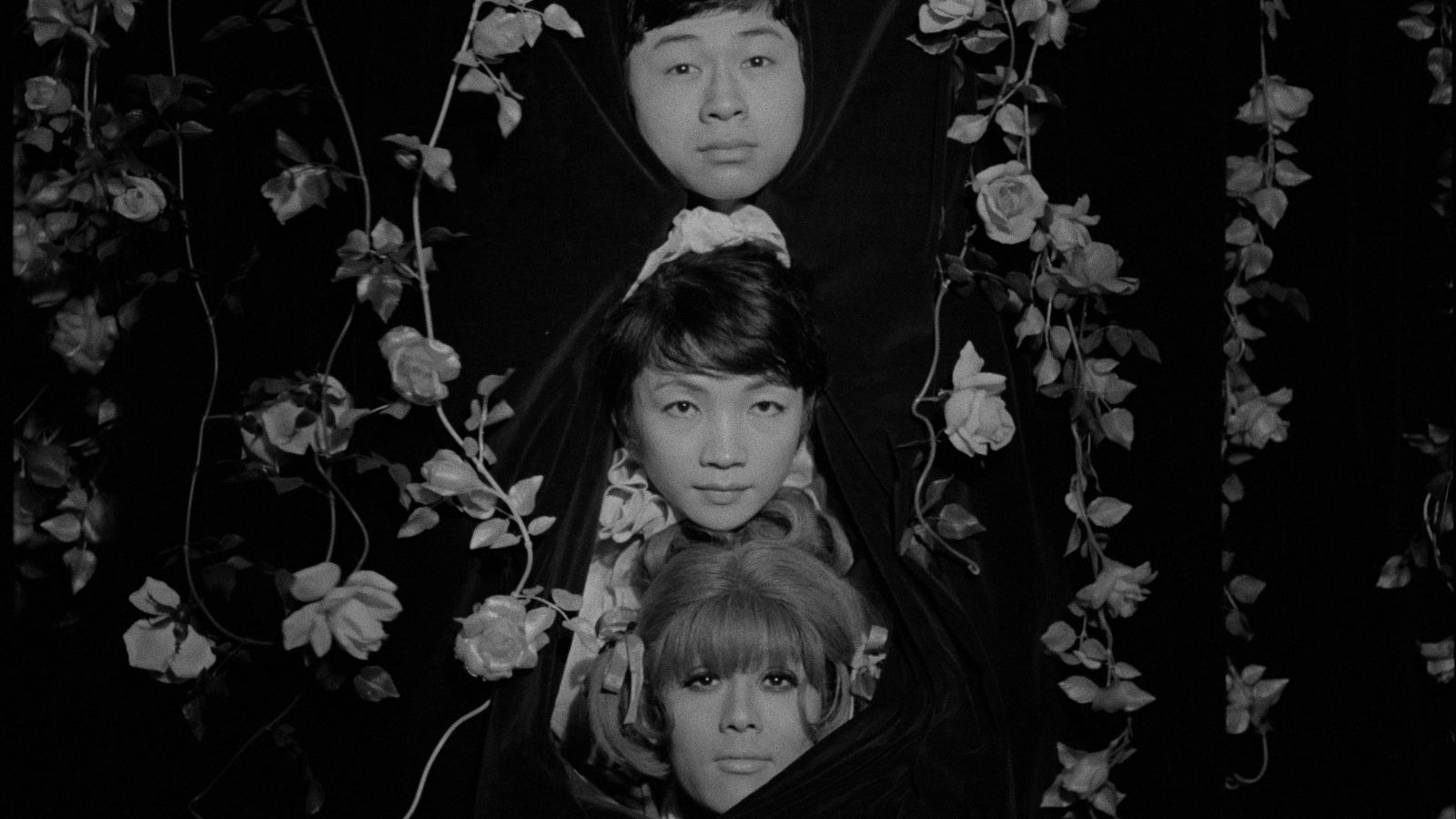 Funeral Parade of Roses