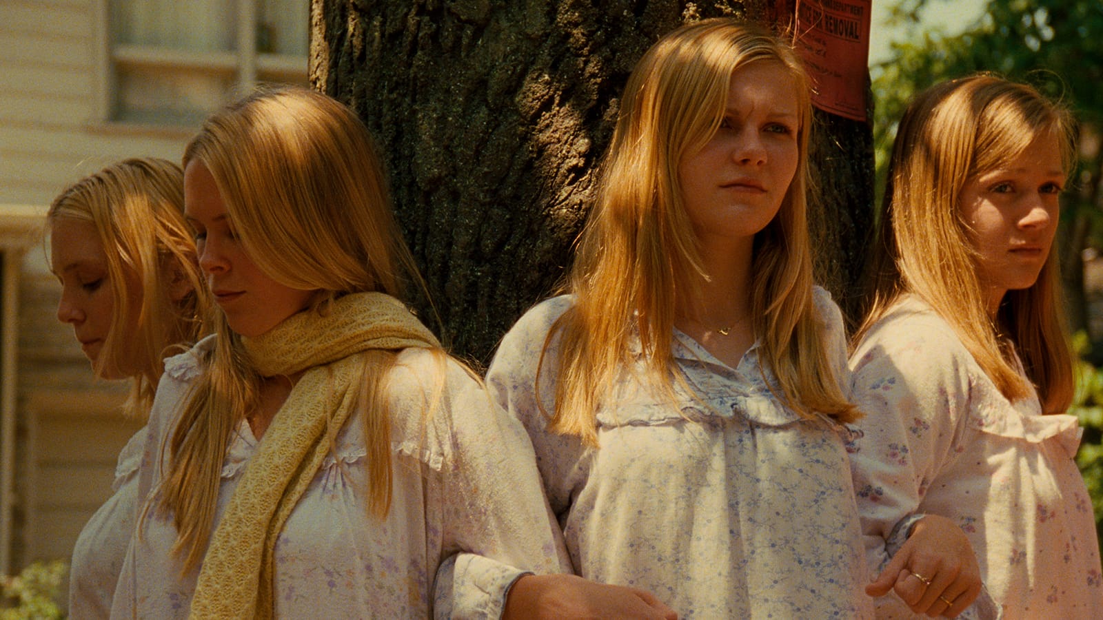 The Virgin Suicides