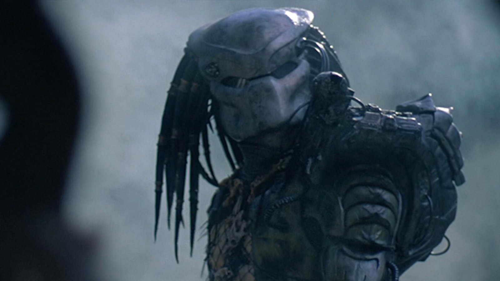 They Came From Outer Space: Alien vs. Predator