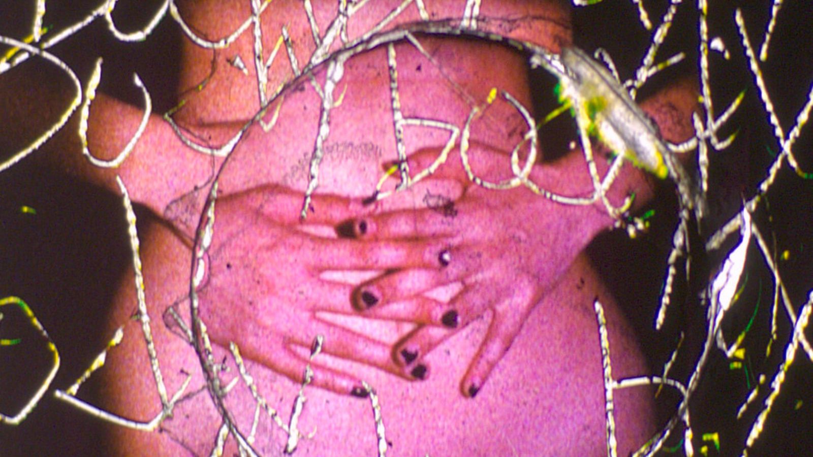 Trace on My Body