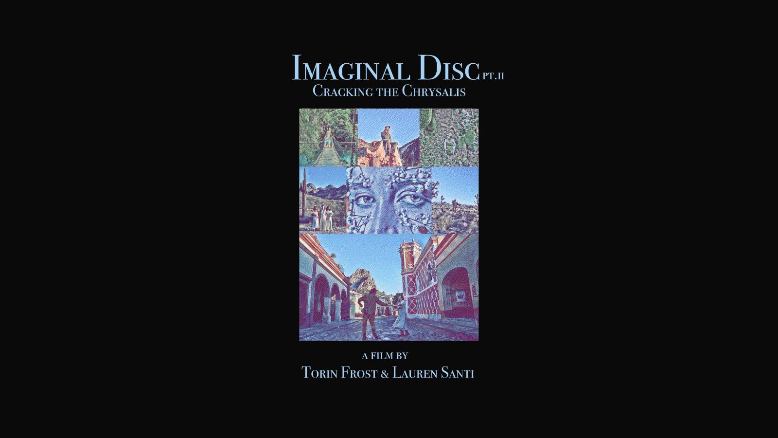 Imaginal Disc Part 2: Cracking the Chrysalis