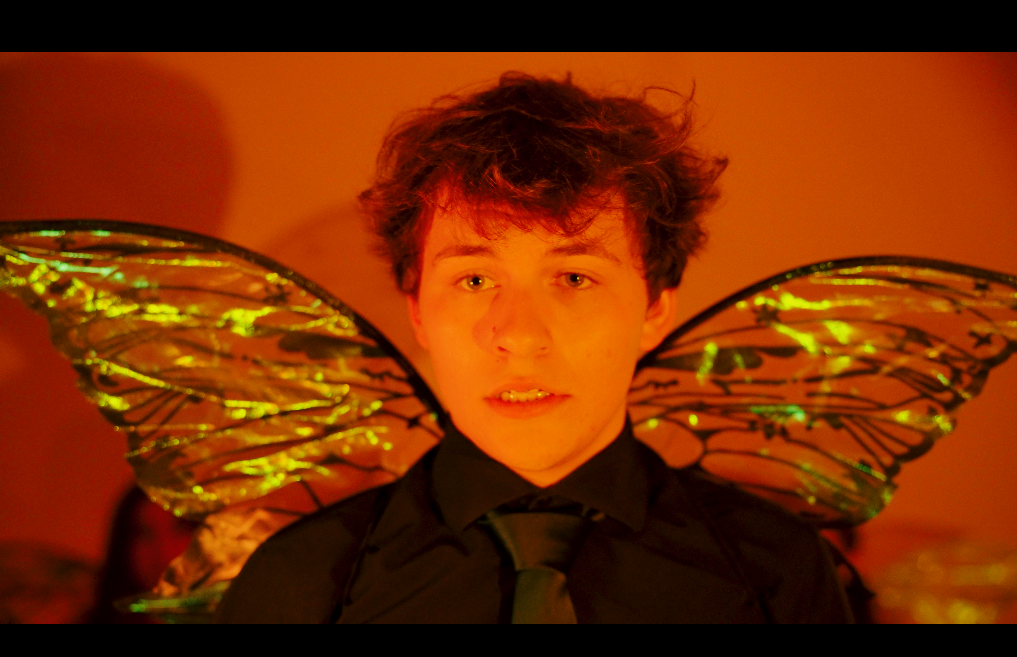 THE PARKING TICKET FAIRY