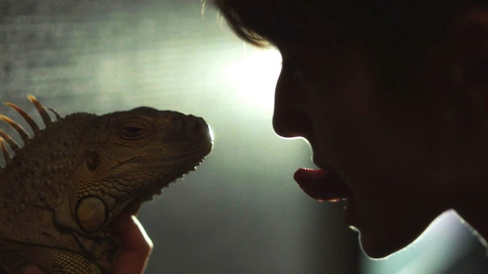 Iguana Tokyo