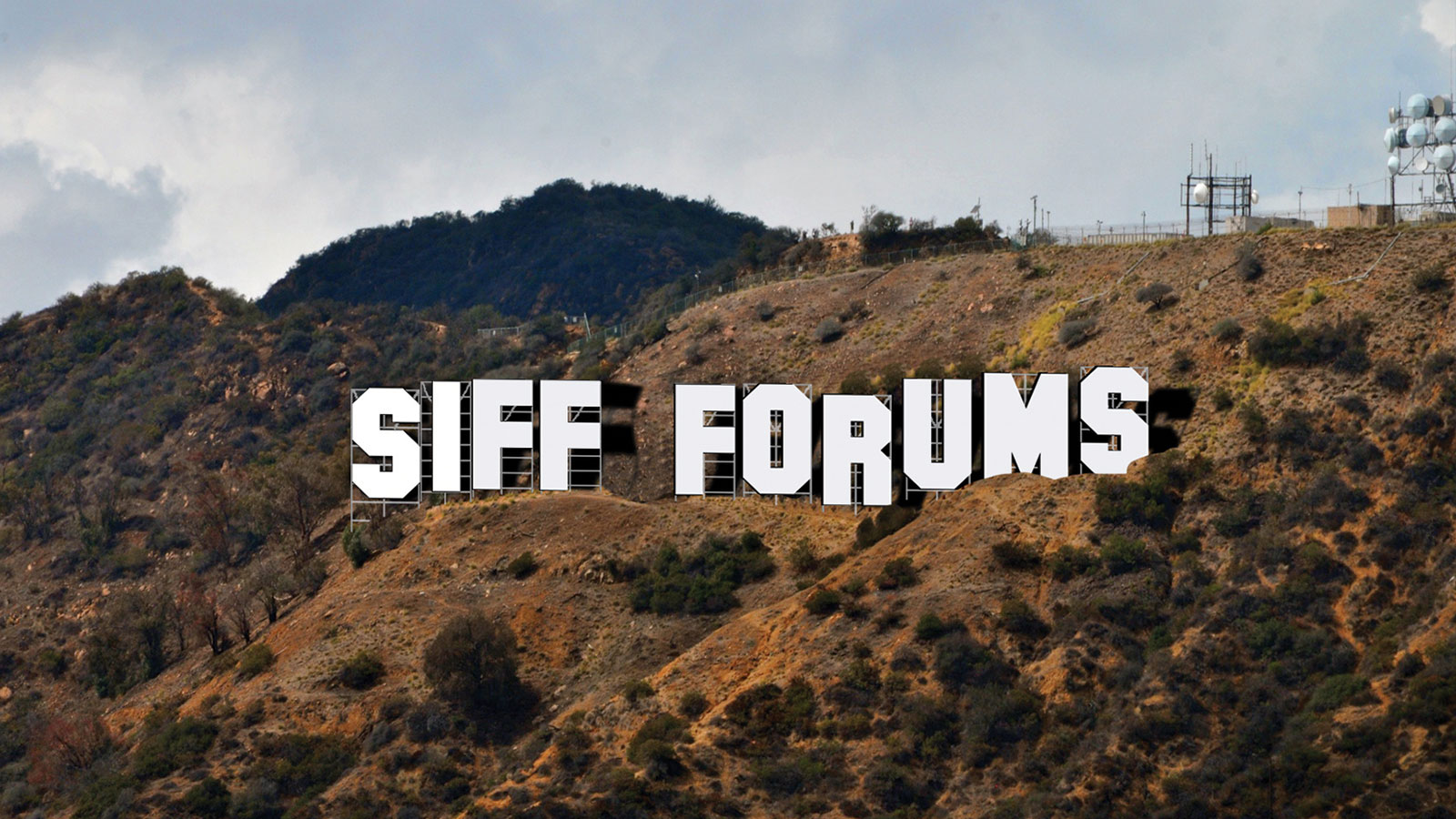 SIFF Forums