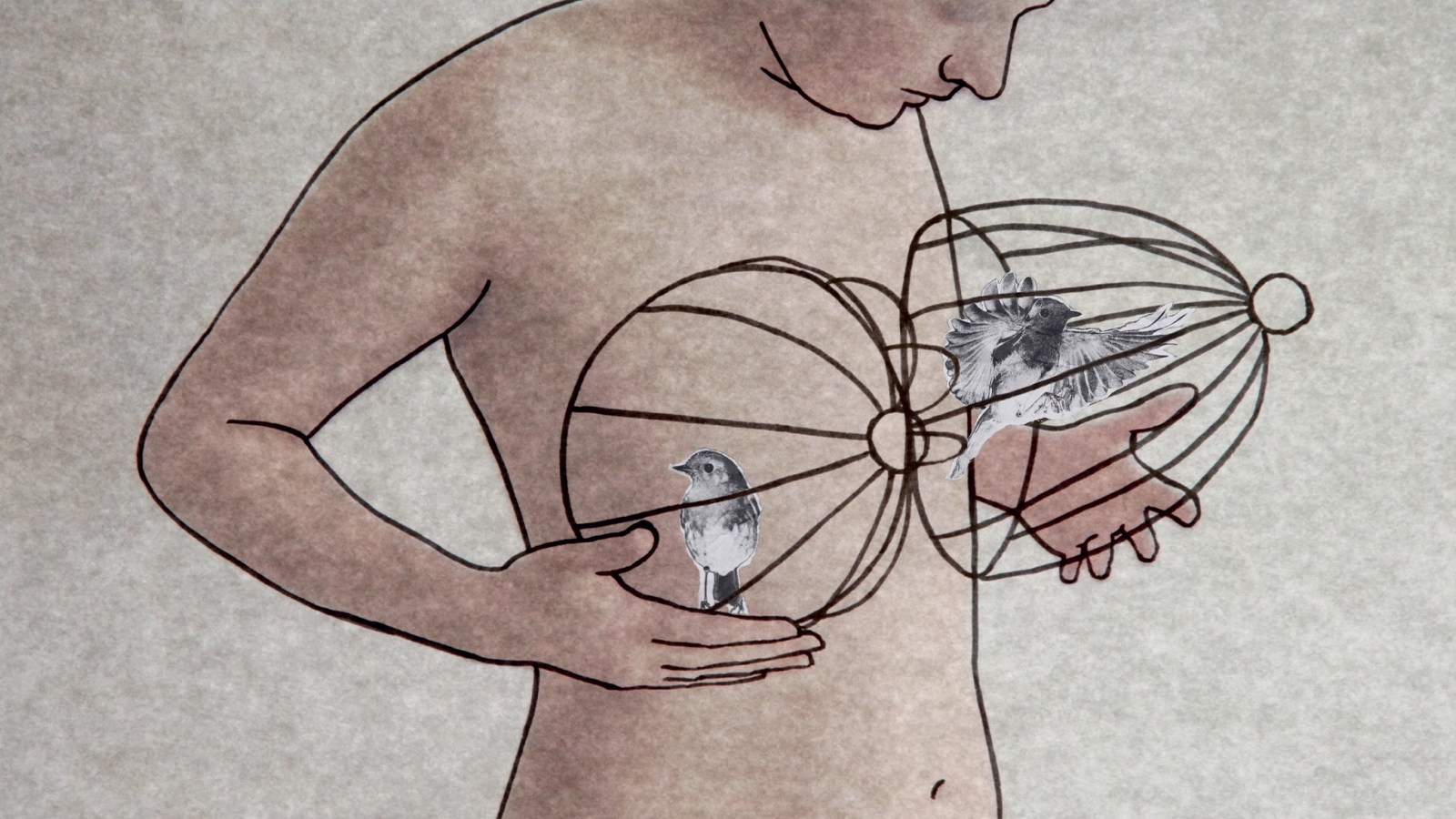 Our Body