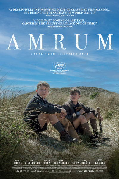 Amrum poster image
