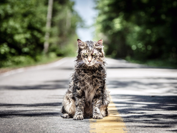 Pet Sematary (2019)