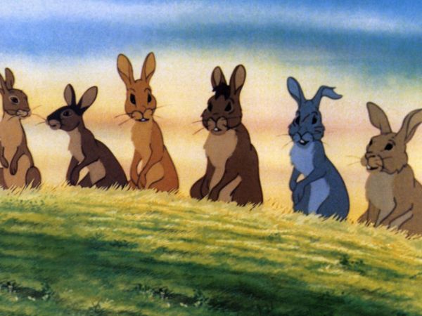 Watership Down