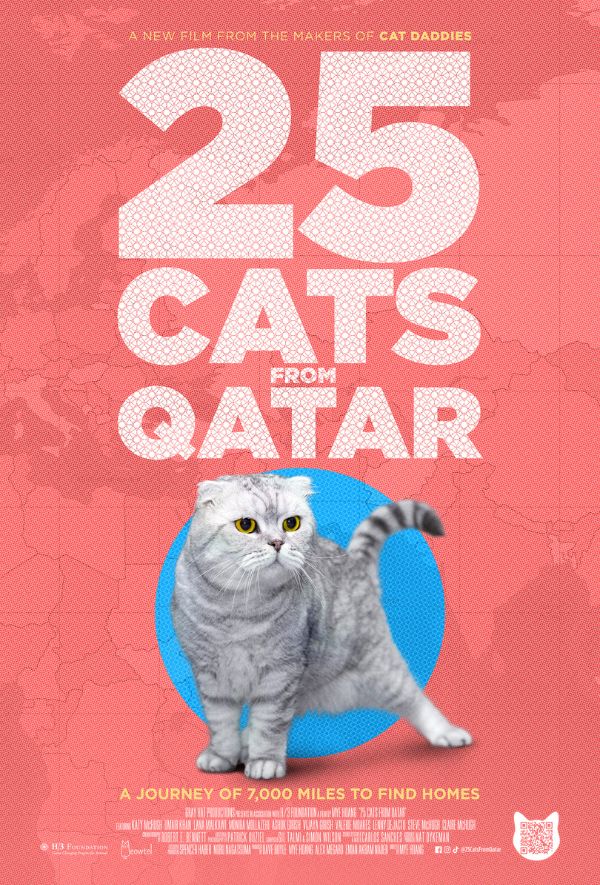 25 Cats From Qatar